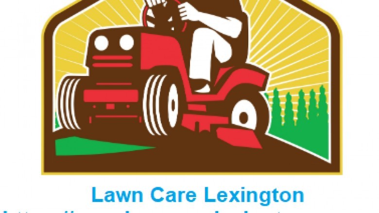 Garden Landscaping