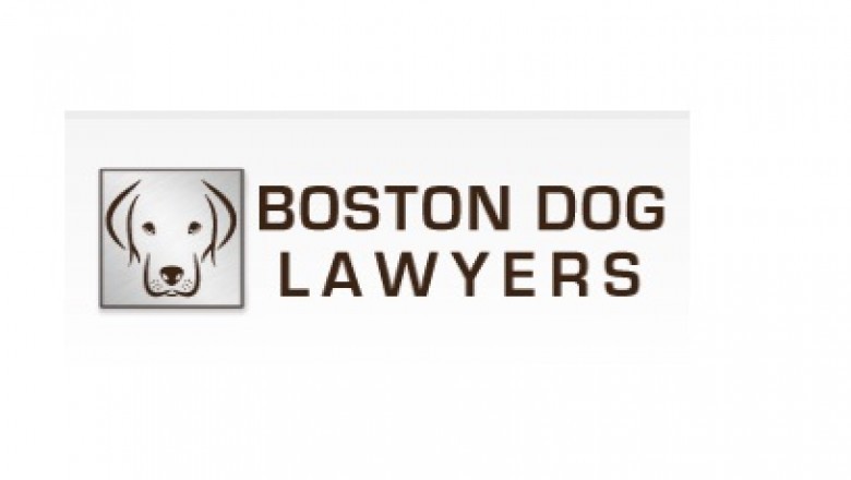 Dog Custody Lawyer