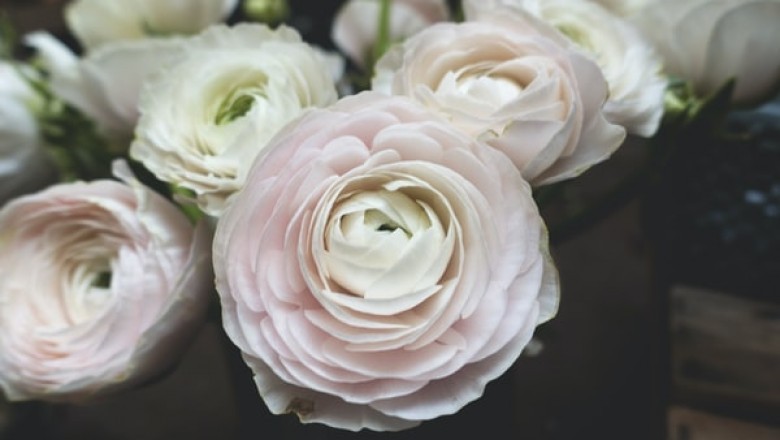 How to Choose the Right Wood Flowers Supplier?