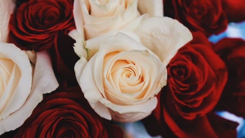 How to Start Your Own Sola Wood Flowers Business?