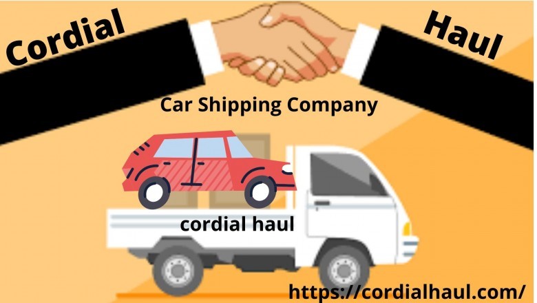 What can you expect from door to door car transport?