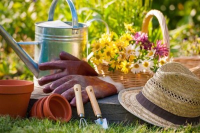 O'toole's Garden Centers