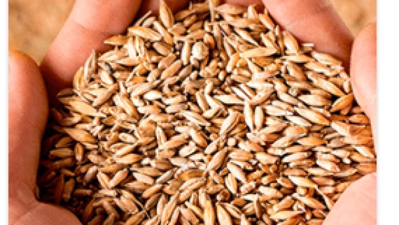 Soybean Meal Futures Quotes - UNISTAR GLOBAL INT