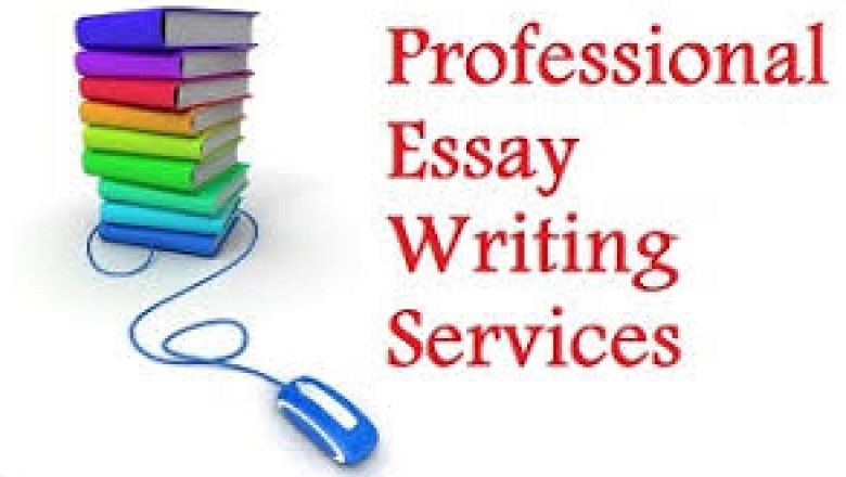 Essay Assignment Help