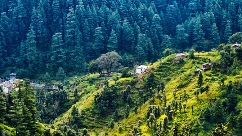 Delhi to Ranikhet Cab | Delhi to Ranikhet Taxi