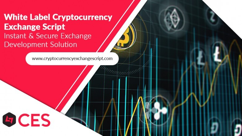 cryptocurrency trading software script