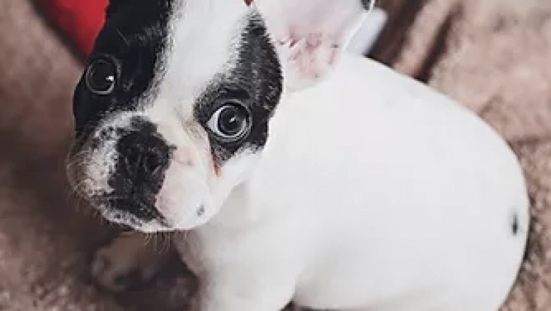 Acupuncture treatment Singapore