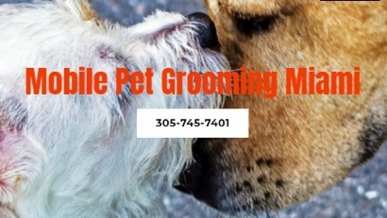 Extraordinary Information on Mobile Pet Grooming
