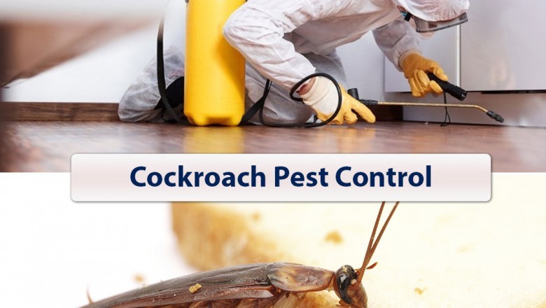 Best Cockroach Control Services in Bangalore