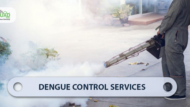 Dengue Pest Control Services in Bangalore