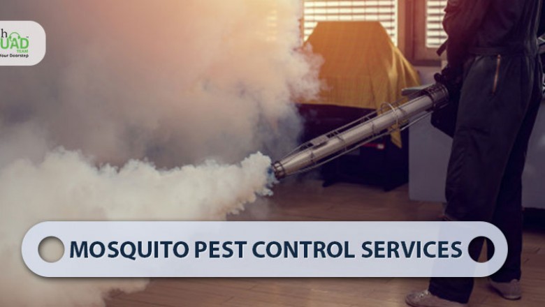 Mosquito Pest Control Services in Bangalore