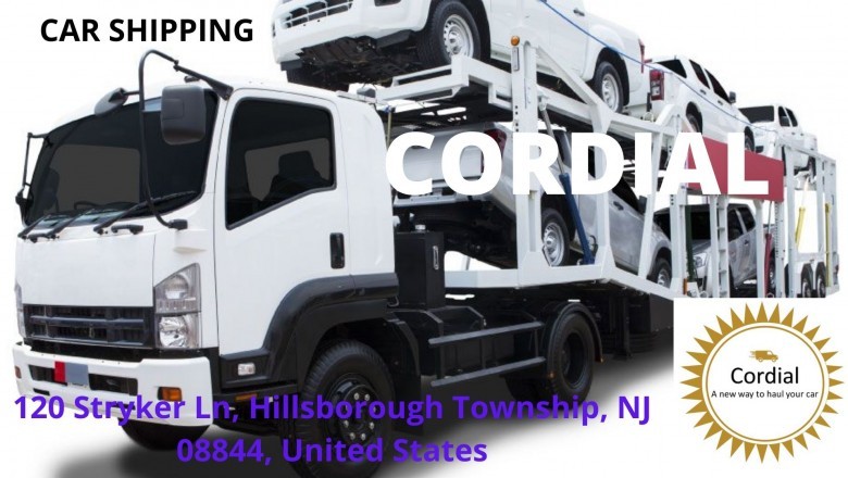 USA Car transport with cordial haul