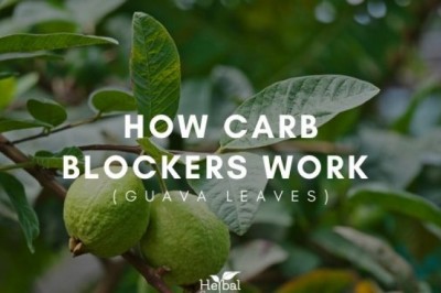 HOW CARB BLOCKERS WORK - GUAVA LEAVES | HERBAL GOODNESS