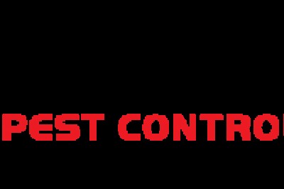 Find The Top Commercial Pest Control In Melbourne