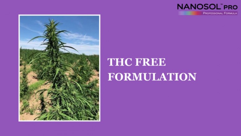 Hemp Oil - Nanosol Pro