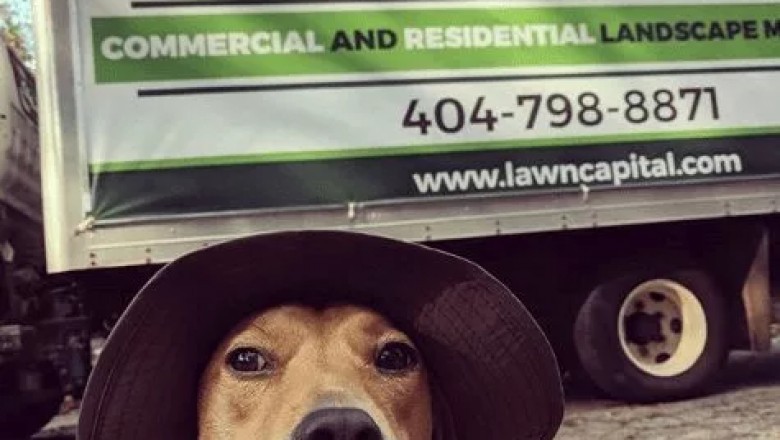 Landscapers Near Me Decatur GA