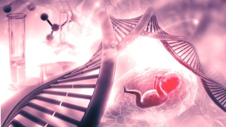 Prenatal DNA Test
