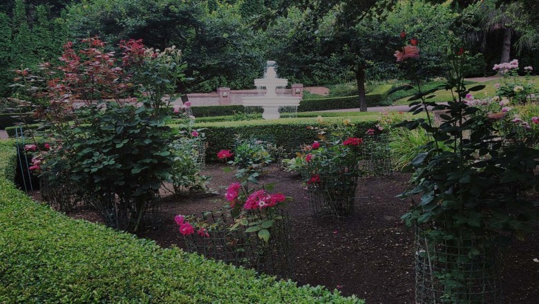 Gardening Services in Mountlake Terrace