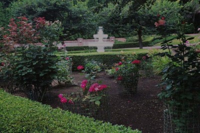 Gardening Services in Mountlake Terrace