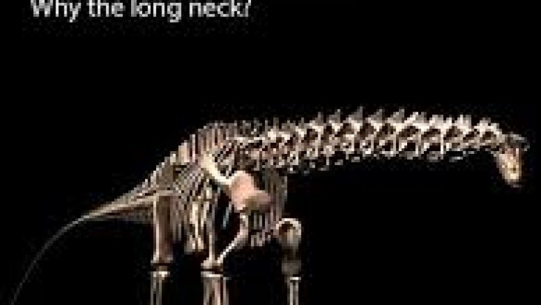 PLoS ONE Impact Factor