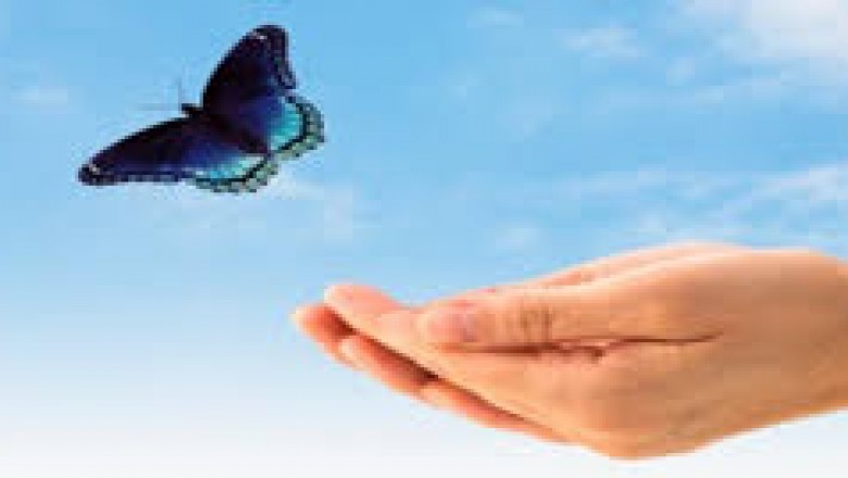 freedom plan management