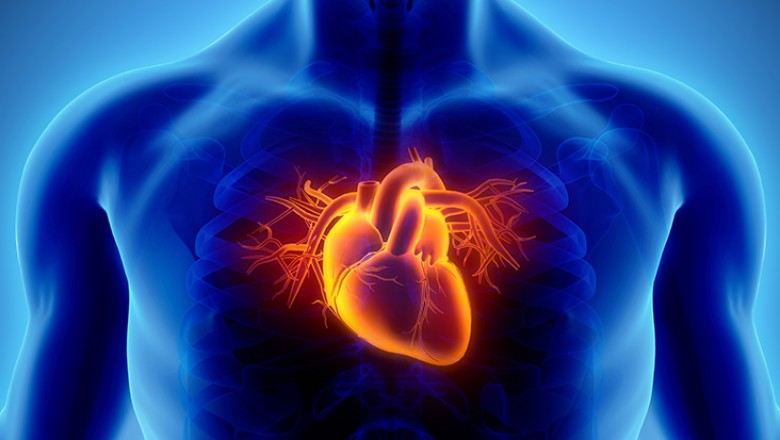 Coronary Heart Disease: Symptoms, Risk Factors and Treatment
