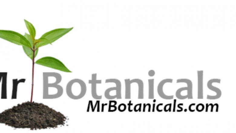 How you can Purchase Organic Gardening Seeds