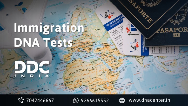 Cost Effective Immigration DNA Test in India
