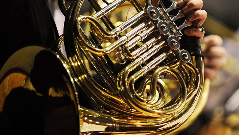 Instrument Wala|Buy musical instrument and Pro Audio in India at best price|Get musical instrument online