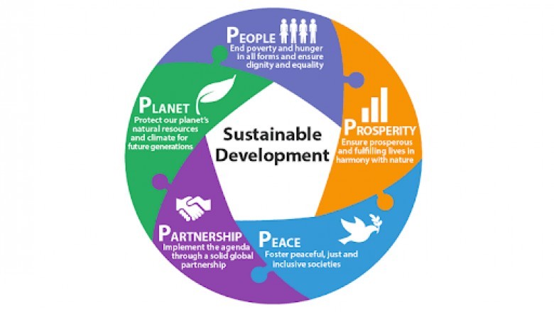 Innovation And Sustainable Business Development Assignment 2nd Sample