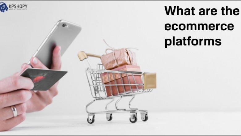 What are the ecommerce platforms?