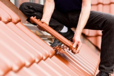 Roof Care Tips You Need to Know