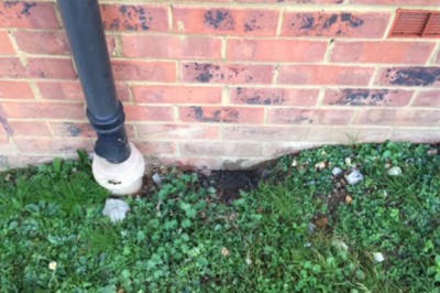 Pest Control West London