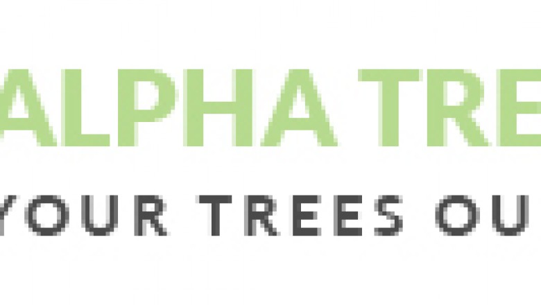 Tree Surgeons Weybridge