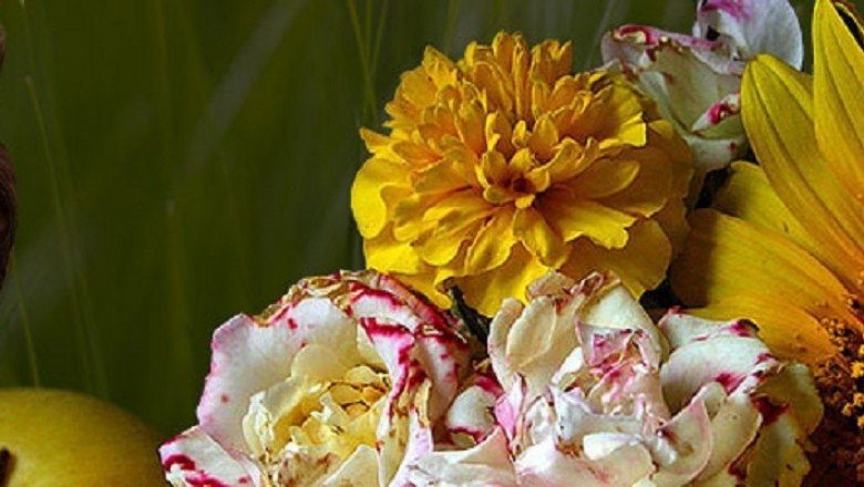 Depigmentation - Fairnglow.com