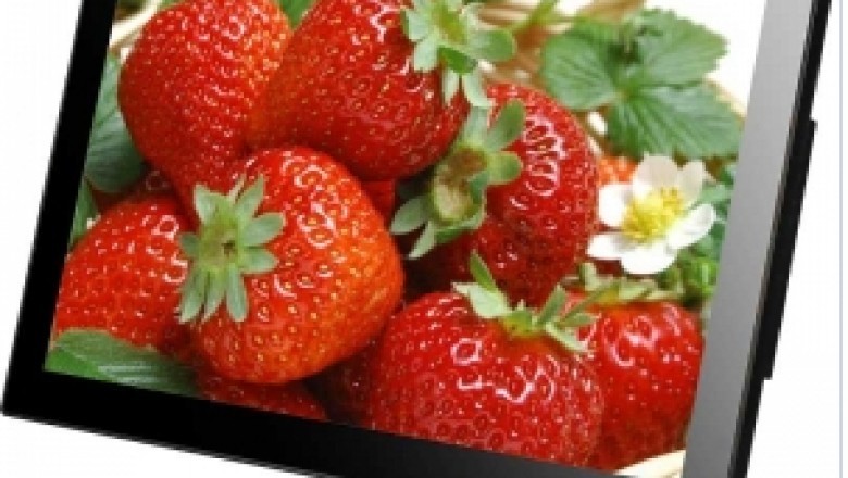 Digital Signage Kiosk, 22 inch Android Touch Screen Advertising Display