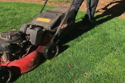 Landscape Maintenance in Mountlake Terrace