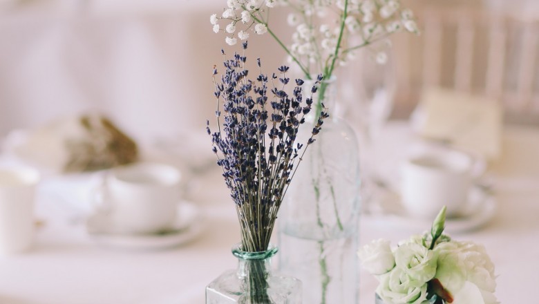 Why Ought to You Hire Expert Wedding Photographers