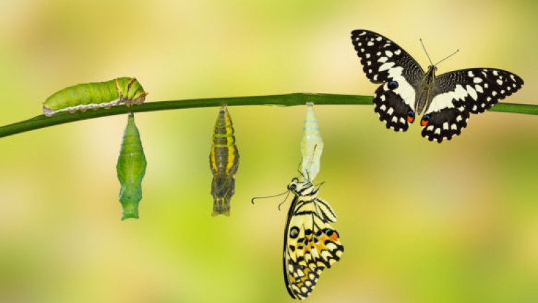How to stay relevant in changing times