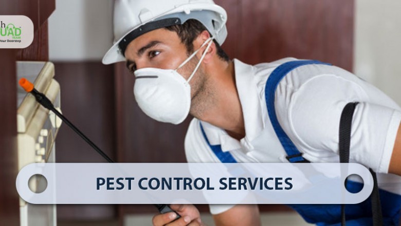 What is the Importance of Pest Control Services in Bangalore?