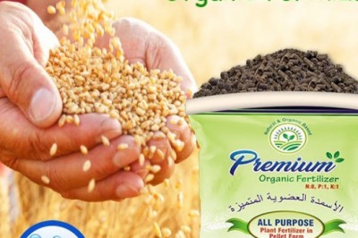 Know About Organic Fertilizer and Its Amazing Benefits.