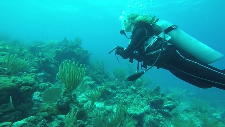 Why Scuba Diving is Popular in Neil Island