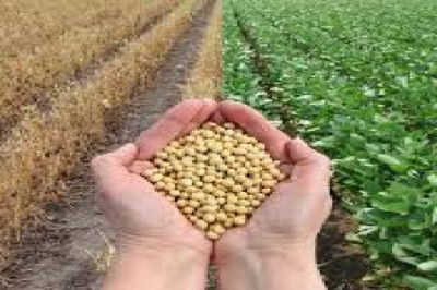 Europe CRISPR in Agriculture Market Trends, Size, Forecast - 2019-2025