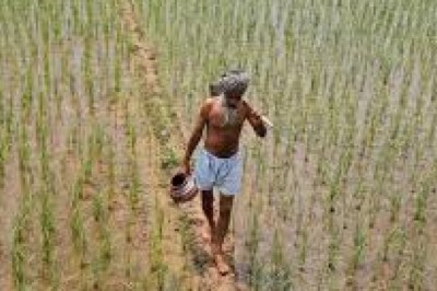 India CRISPR in Agriculture Market Trends, Size, Forecast - 2019-2025