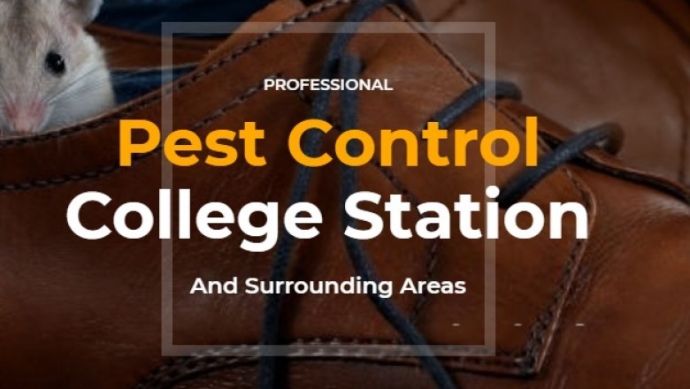 pest control college station tx