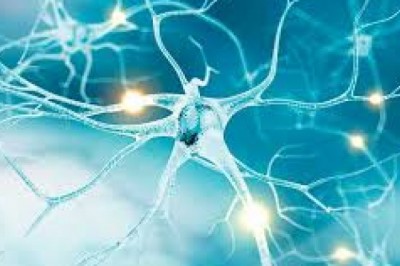 US Electroceuticals Market Trends, Size, Forecast - 2019-2025