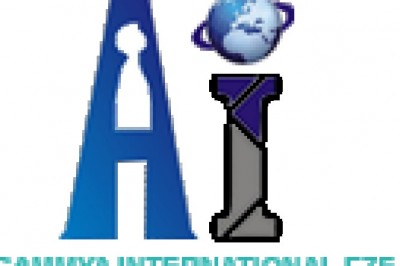 A step ahead in Industrial Chemicals and Mineral Solutions - Agammya International