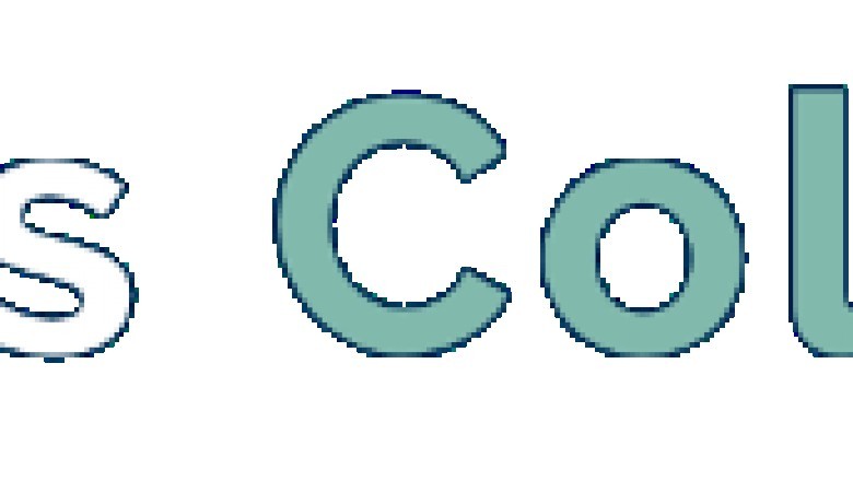 The Art on the Pre-Sale