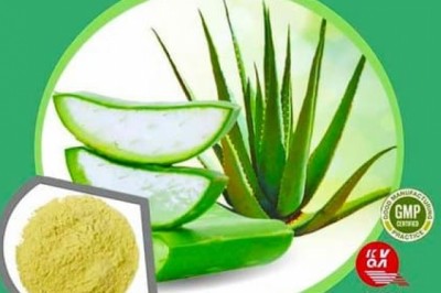 Aloe Vera Extract | Ghritkumari Extract