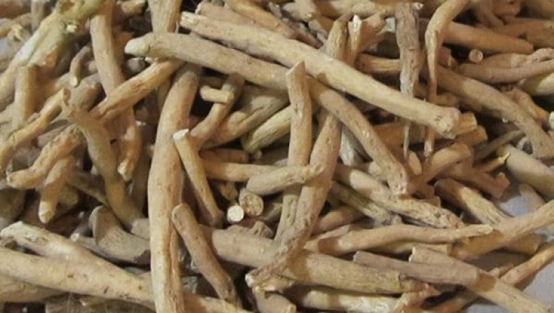 Ashwagandha Extract supplier | Withania Somnifera extract